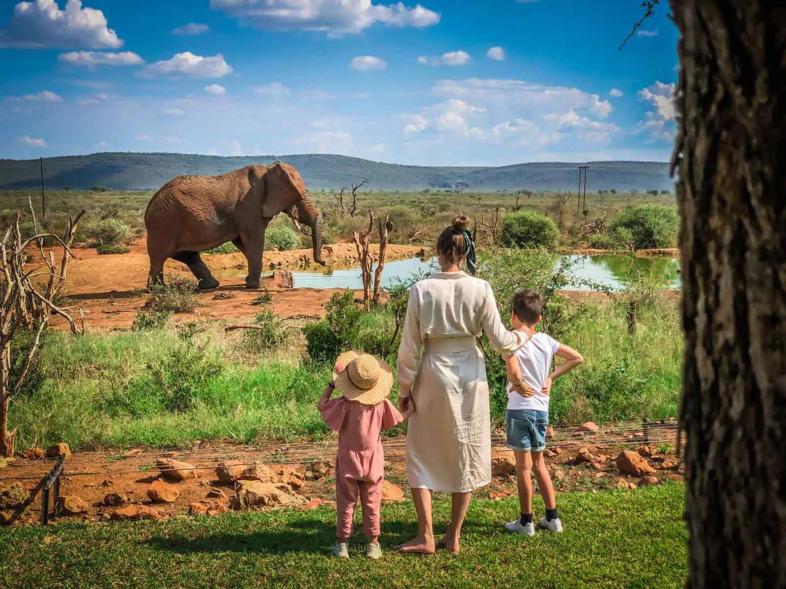 Best Safari in Tanzania